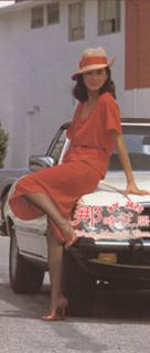 Brigitte Lin feet photo 9