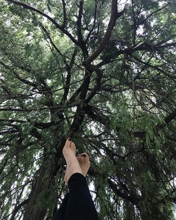 Brit Morgan feet photo 10