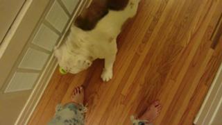 Brittani Taylor feet photo thumbnail
