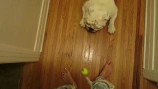 Brittani Taylor feet photo thumbnail