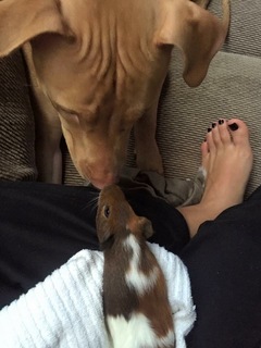 Brittany Bates feet photo 20