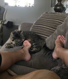 Brittany Bates feet photo 14
