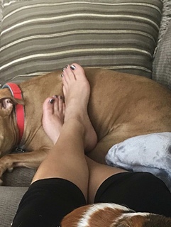 Brittany Bates feet photo 19