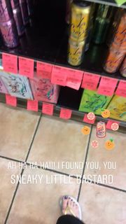 Brittany Curran feet photo 19