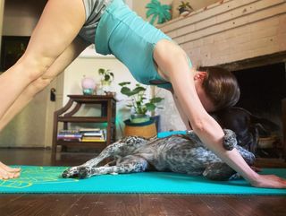 Brittany Curran feet photo 7