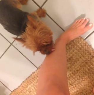 Brittany Furlan feet photo thumbnail