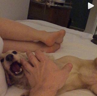 Brittany Furlan feet photo thumbnail