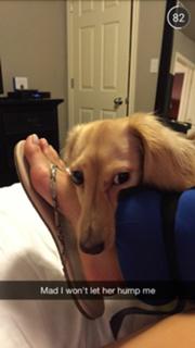 Brittany Furlan feet photo thumbnail