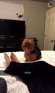 Brittany Furlan feet photo thumbnail