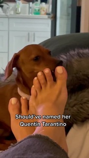 Brittany Furlan feet photo thumbnail