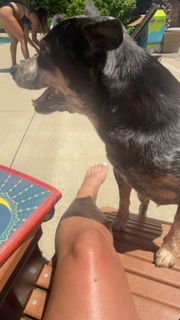 Brittany Hertz feet photo 9
