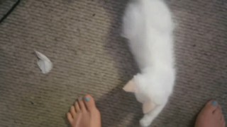 Brittany Venti feet photo 18