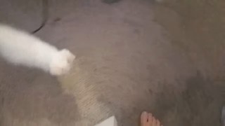 Brittany Venti feet photo 17