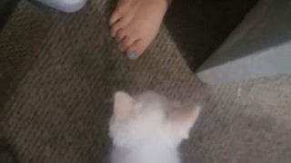 Brittany Venti feet photo 16