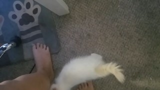 Brittany Venti feet photo 14