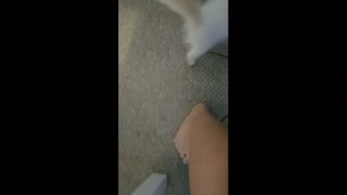 Brittany Venti feet photo 13