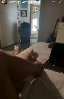 Brittney Palmer feet photo thumbnail