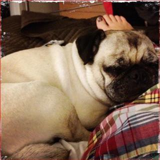 Brooke Baldwin feet photo thumbnail