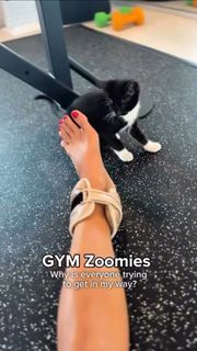 Brooke Burke feet photo thumbnail