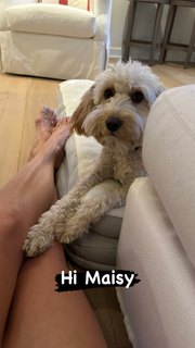 Brooke Burns feet photo thumbnail
