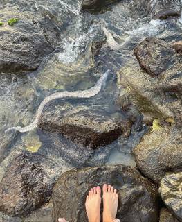 Brooke Butler feet photo thumbnail