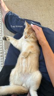 Brooke Monk feet photo thumbnail