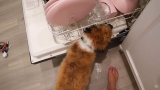 Brooklyn McKnight feet photo 14