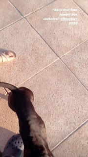 Bruna Dos Anjos feet photo 2