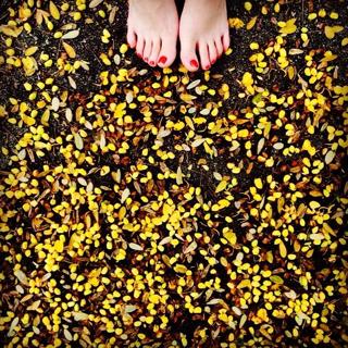 Bruna Linzmeyer feet photo thumbnail