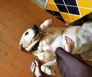 Bruna Linzmeyer feet photo thumbnail