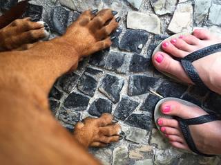 Bruna Linzmeyer feet photo thumbnail