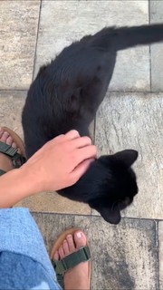 Bruna Linzmeyer feet photo thumbnail