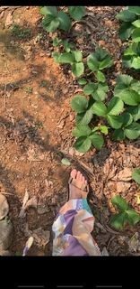 Bruna Linzmeyer feet photo thumbnail