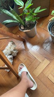 Bruna Linzmeyer feet photo thumbnail