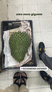 Bruna Linzmeyer feet photo thumbnail