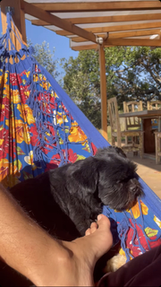 Bruna Linzmeyer feet photo thumbnail