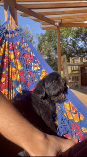 Bruna Linzmeyer feet photo thumbnail