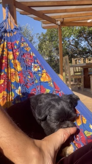 Bruna Linzmeyer feet photo thumbnail