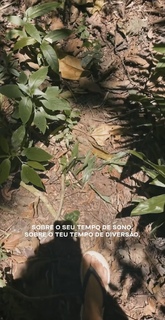 Bruna Linzmeyer feet photo thumbnail