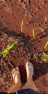 Bruna Linzmeyer feet photo thumbnail