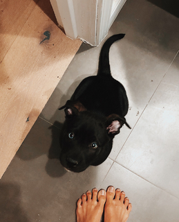 Bruna Lírio feet photo 17