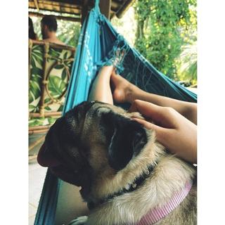 Bruna Marquezine feet photo thumbnail