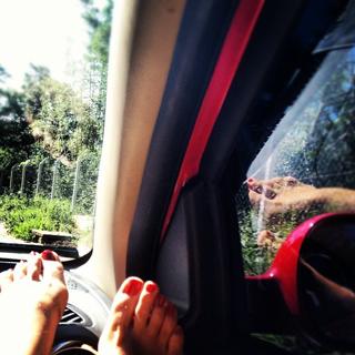 Bruna Thedy feet photo 16