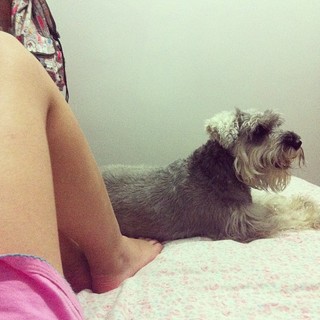 Bruna Vieira feet photo 15