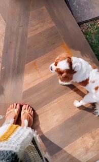 Bruna Vieira feet photo 17