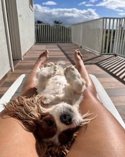 Bruna Vieira feet photo 16