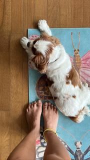 Bruna Vieira feet photo 13