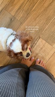 Bruna Vieira feet photo 14