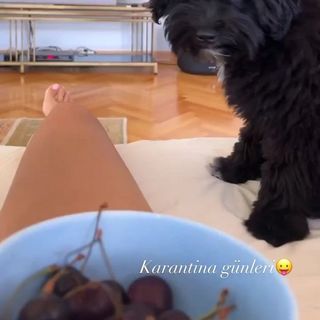 Burcu Özberk feet photo thumbnail