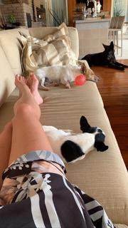 Bárbara Evans feet photo 1